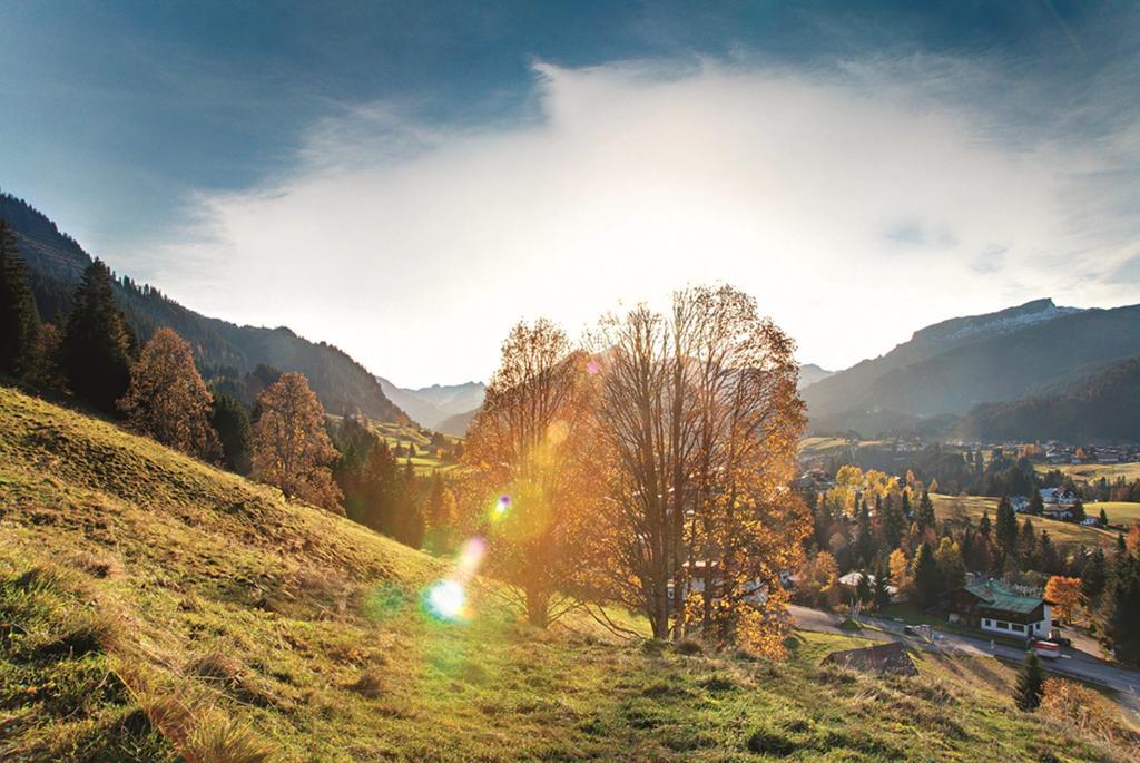 Ferienwohnungen Beck Hirschegg Rein 외부 사진